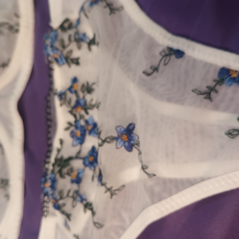 Floral Embroidered Sheer Lingerie